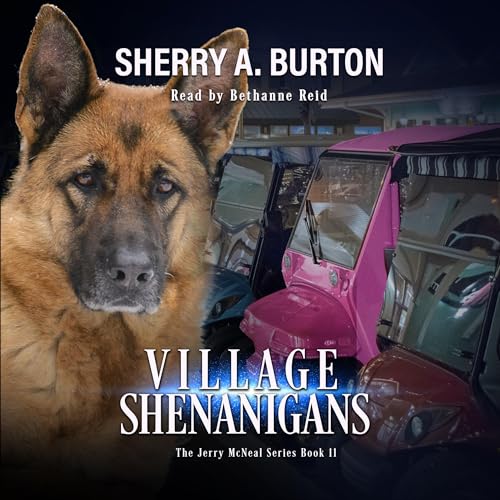 Cover of Village Shenanigan: A Paranormal Snapshot