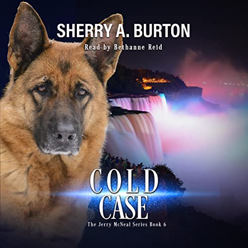 Cover of Cold Case