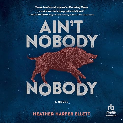 Cover of Ain't Nobody, Nobody