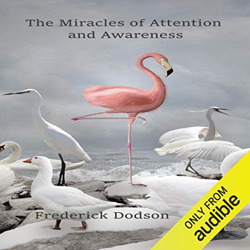 Cover of The Miracles of Attention and Awareness