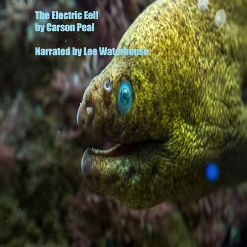 Cover of The Electric Eel!