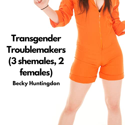 Cover of Transgender Troublemakers