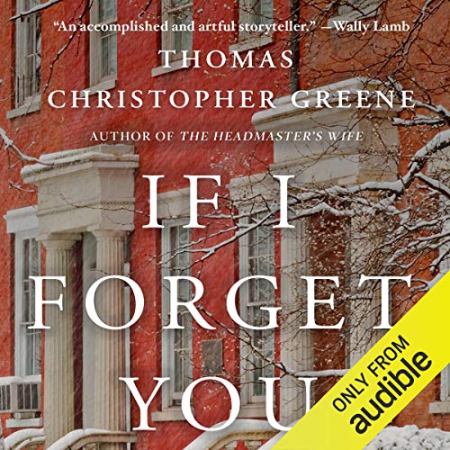 Cover of If I Forget You