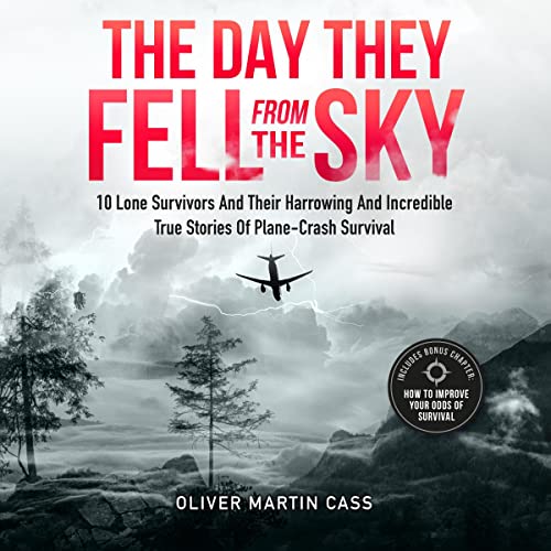 Cover of The Day They Fell From the Sky