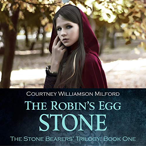 Cover of The Robin's Egg Stone