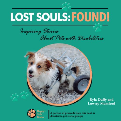 Cover of Lost Souls: Found!