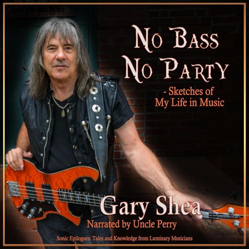 Cover of No Bass No Party