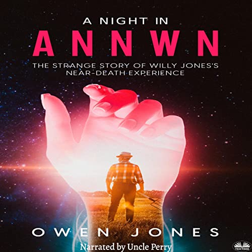 Cover of A Night in Annwn