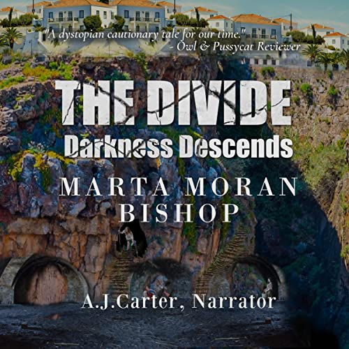 Cover of The Divide