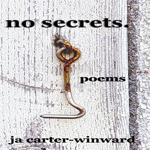 Cover of No Secrets