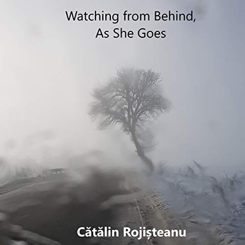 Cover of Watching from Behind, as She Goes