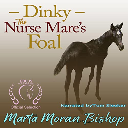 Cover of Dinky