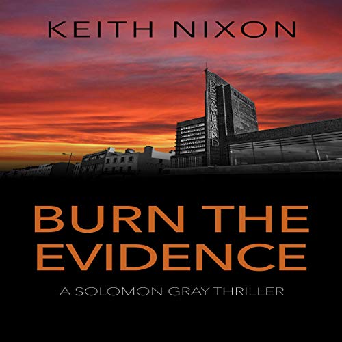 Cover of Burn the Evidence