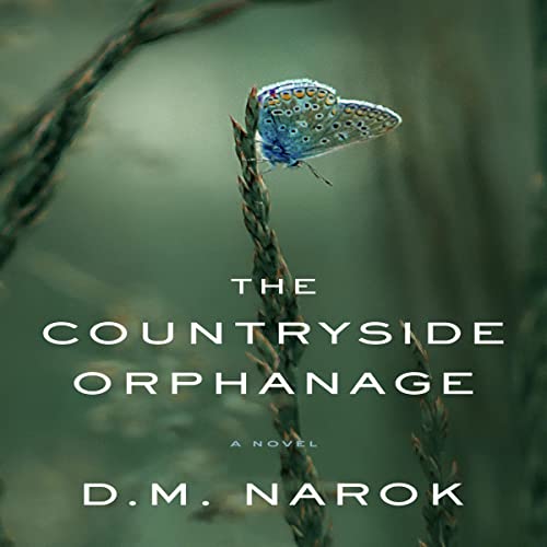 Cover of The Countryside Orphanage