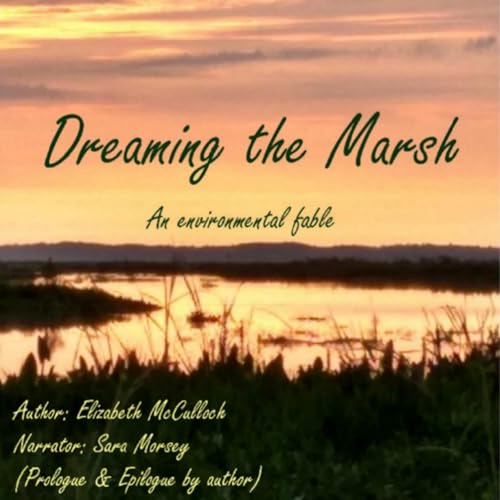 Cover of Dreaming the Marsh
