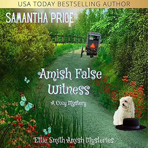 Cover of Amish False Witness