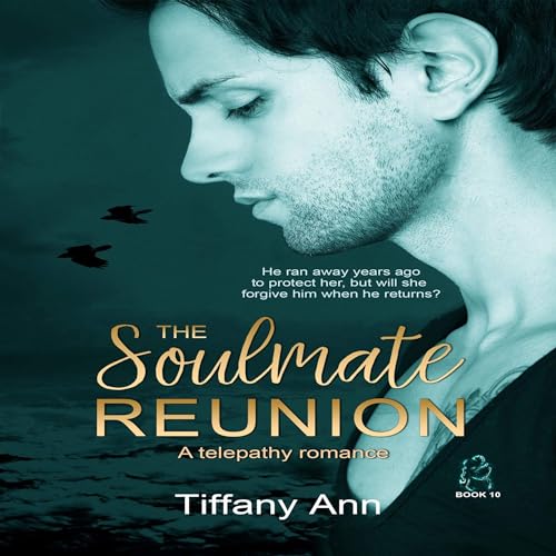 Cover of The Soulmate Reunion