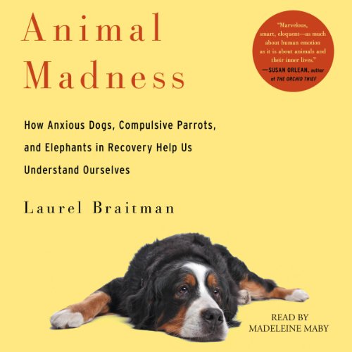 Cover of Animal Madness