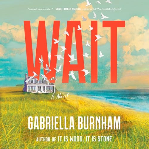 Cover of Wait