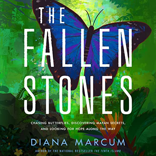 Cover of The Fallen Stones
