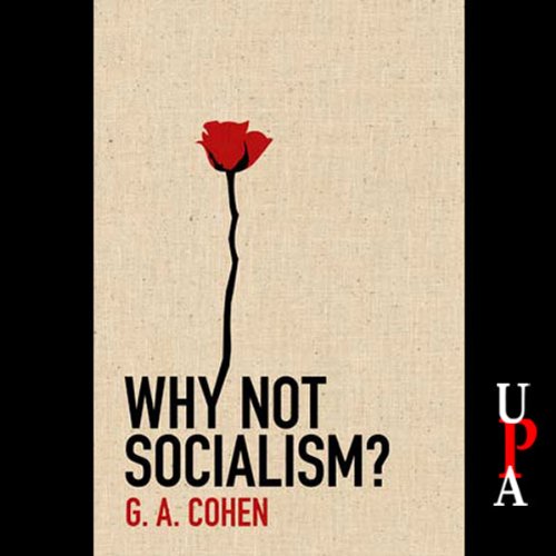 Cover of Why Not Socialism?