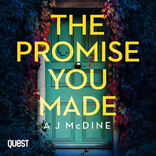 Cover of The Promise You Made