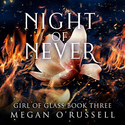 Cover of Night of Never