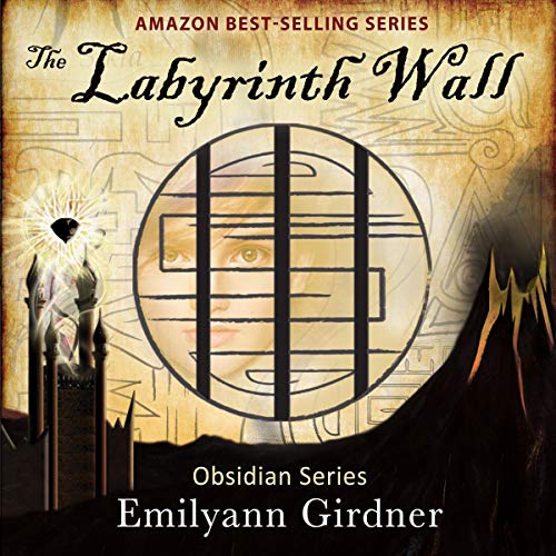 Cover of The Labyrinth Wall