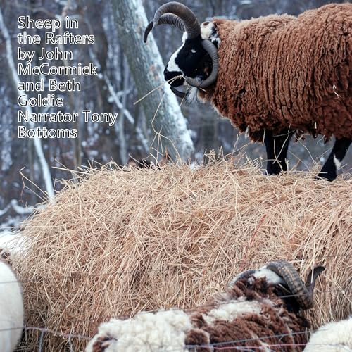 Cover of Sheep in the Rafters