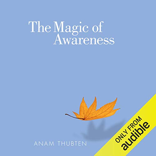 Cover of The Magic of Awareness