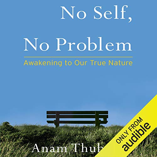Cover of No Self, No Problem