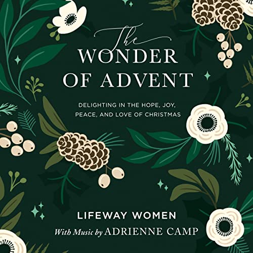 Cover of The Wonder of Advent Audio Bible Study Experience