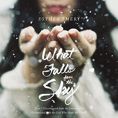 Cover of What Falls from the Sky