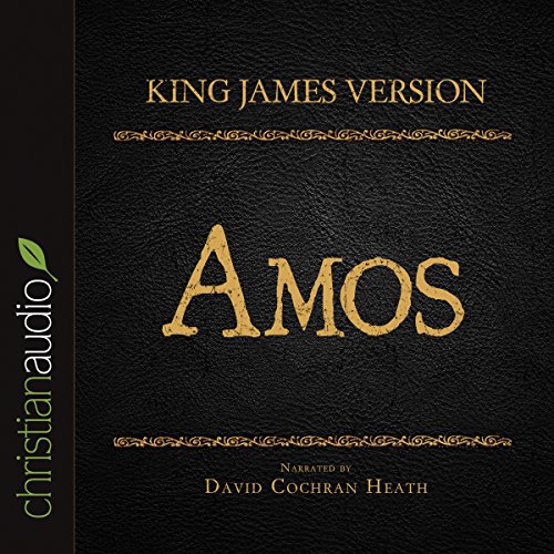 Cover of Holy Bible in Audio - King James Version: Amos