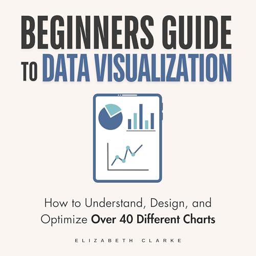 Cover of Beginners Guide to Data Visualization