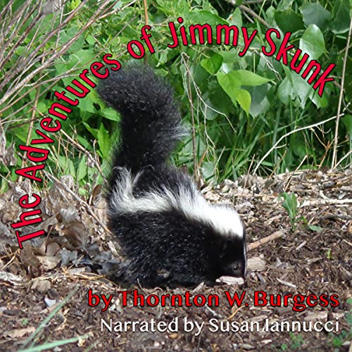 Cover of The Adventures of Jimmy Skunk