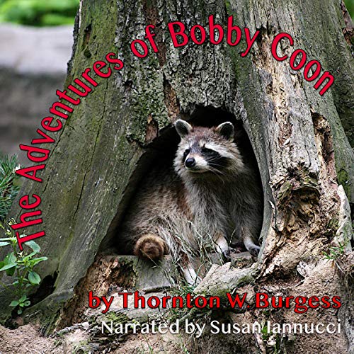 Cover of The Adventures of Bobby Coon