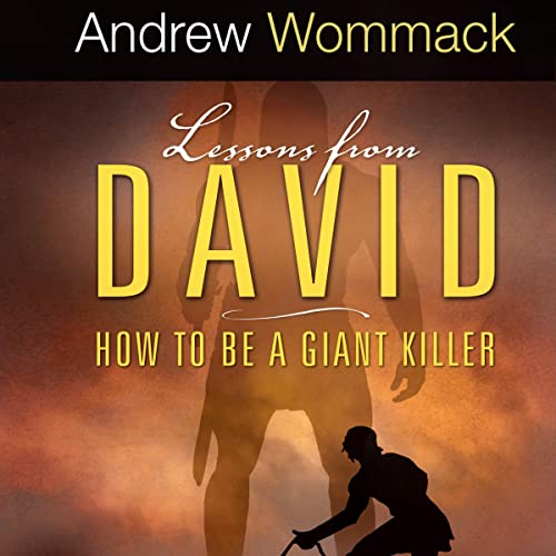 Cover of Lessons from David: How to Be a Giant Killer