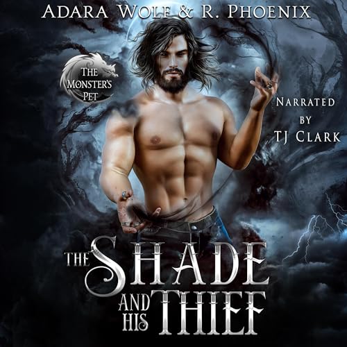 Cover of The Shade and His Thief
