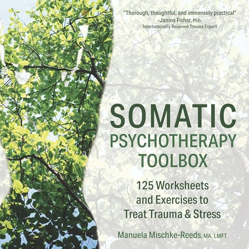 Cover of Somatic Psychotherapy Toolbox