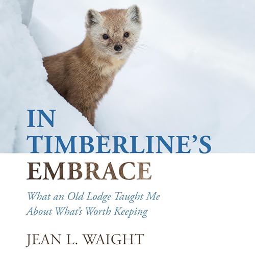 Cover of In Timberline’s Embrace