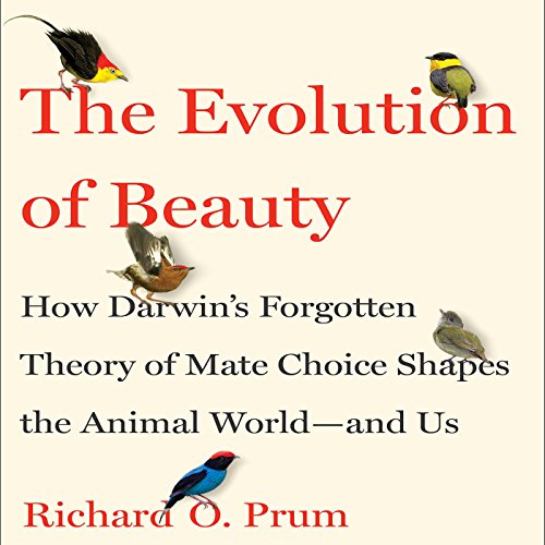 Cover of The Evolution of Beauty