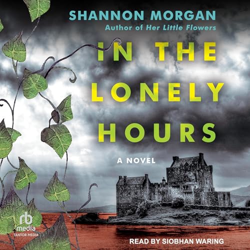 Cover of In the Lonely Hours