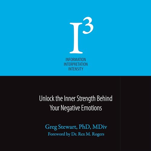 Cover of I³ Information Interpretation Intensity