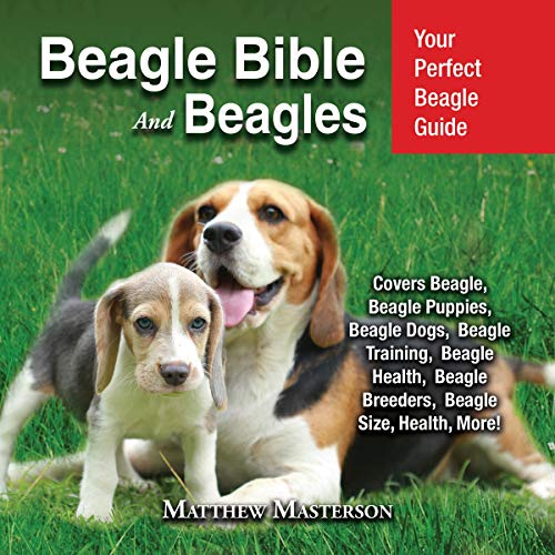 Cover of Beagle Bible and Beagles