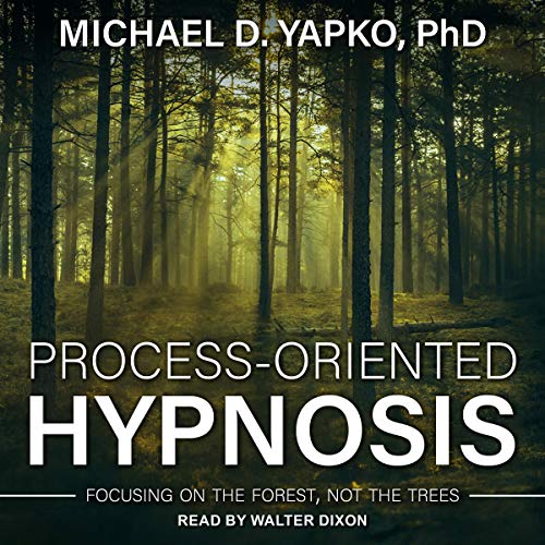 Cover of Process-Oriented Hypnosis