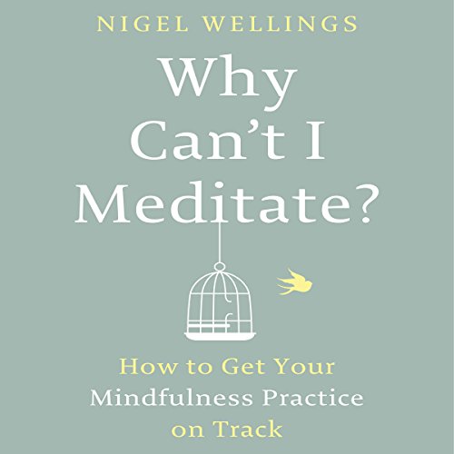 Cover of Why Can't I Meditate?