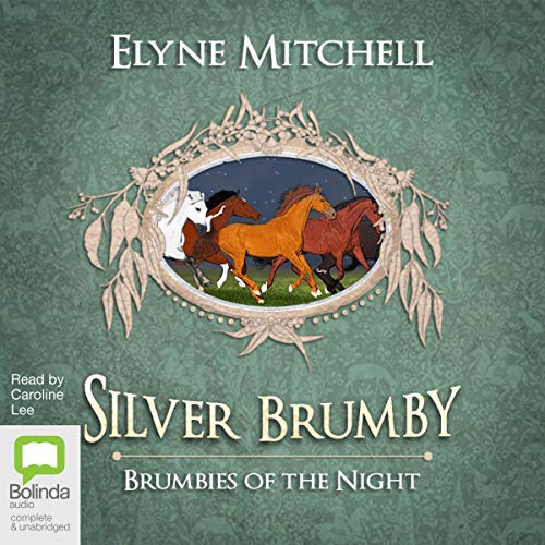 Cover of Brumbies of the Night