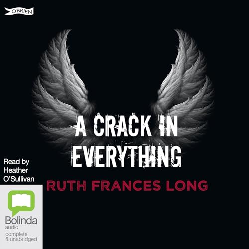 Cover of A Crack in Everything