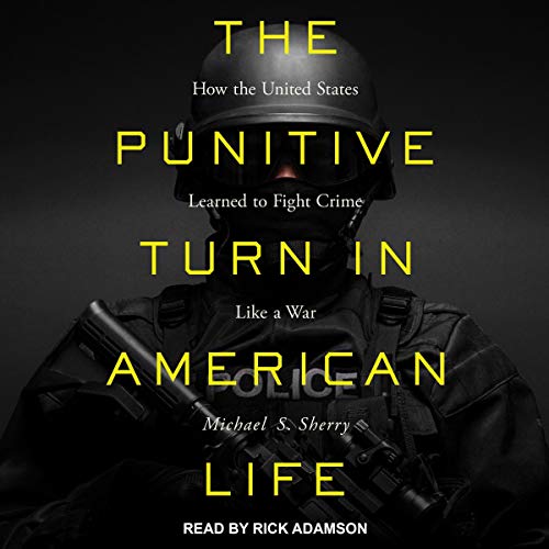 Cover of The Punitive Turn in American Life